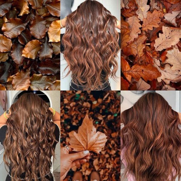 WhatsApp Image 2025-11-13 at 11.16.04 PM